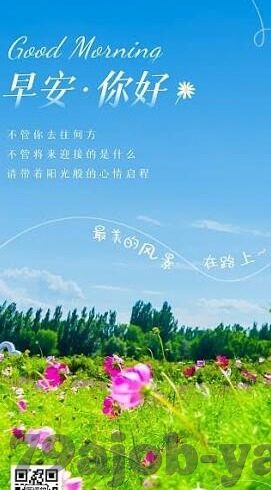 探索便捷新体验，云开·全站APP登录入口与APP下载全攻略